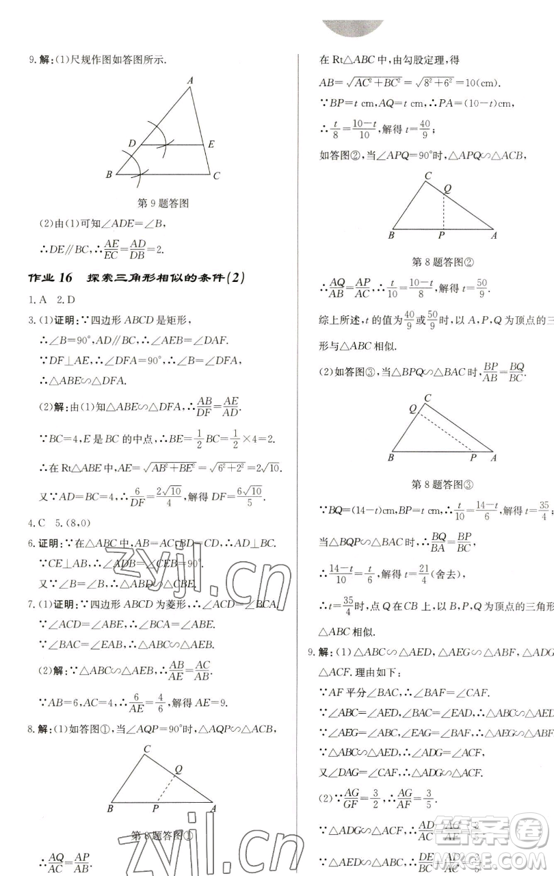 龍門書局2023啟東中學作業(yè)本九年級下冊數(shù)學蘇科版鹽城專版參考答案