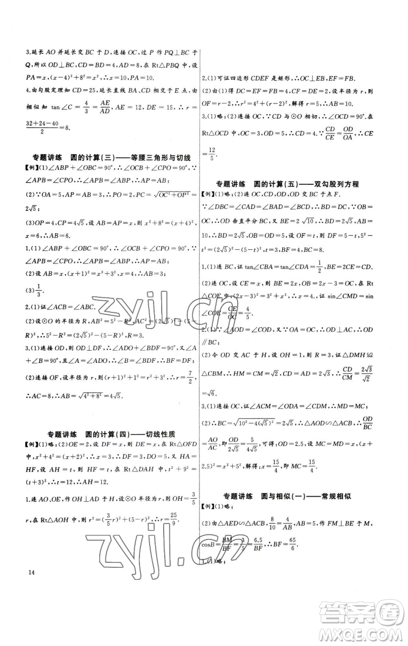 長(zhǎng)江少年兒童出版社2023思維新觀察中考數(shù)學(xué)專題復(fù)習(xí)參考答案