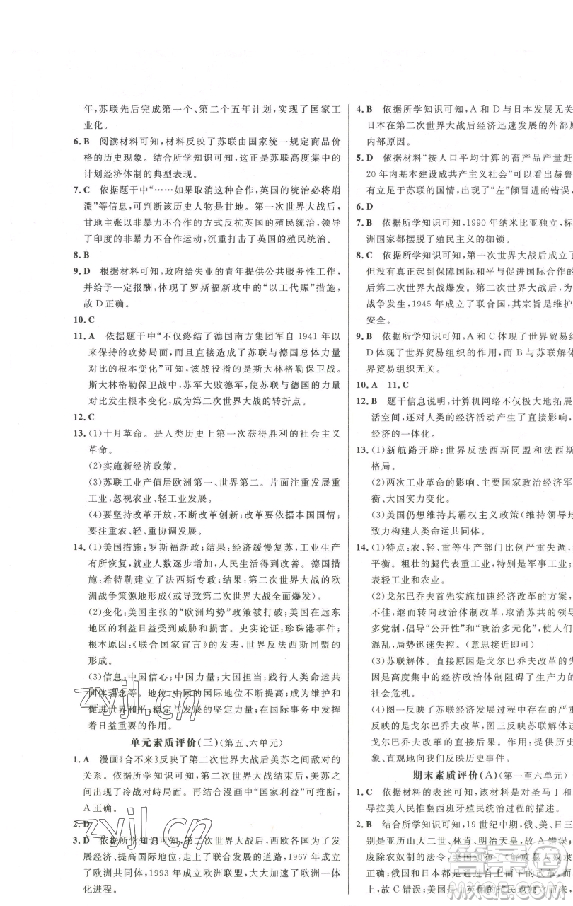 延邊大學(xué)出版社2023世紀(jì)金榜百練百勝九年級(jí)下冊(cè)歷史人教版參考答案