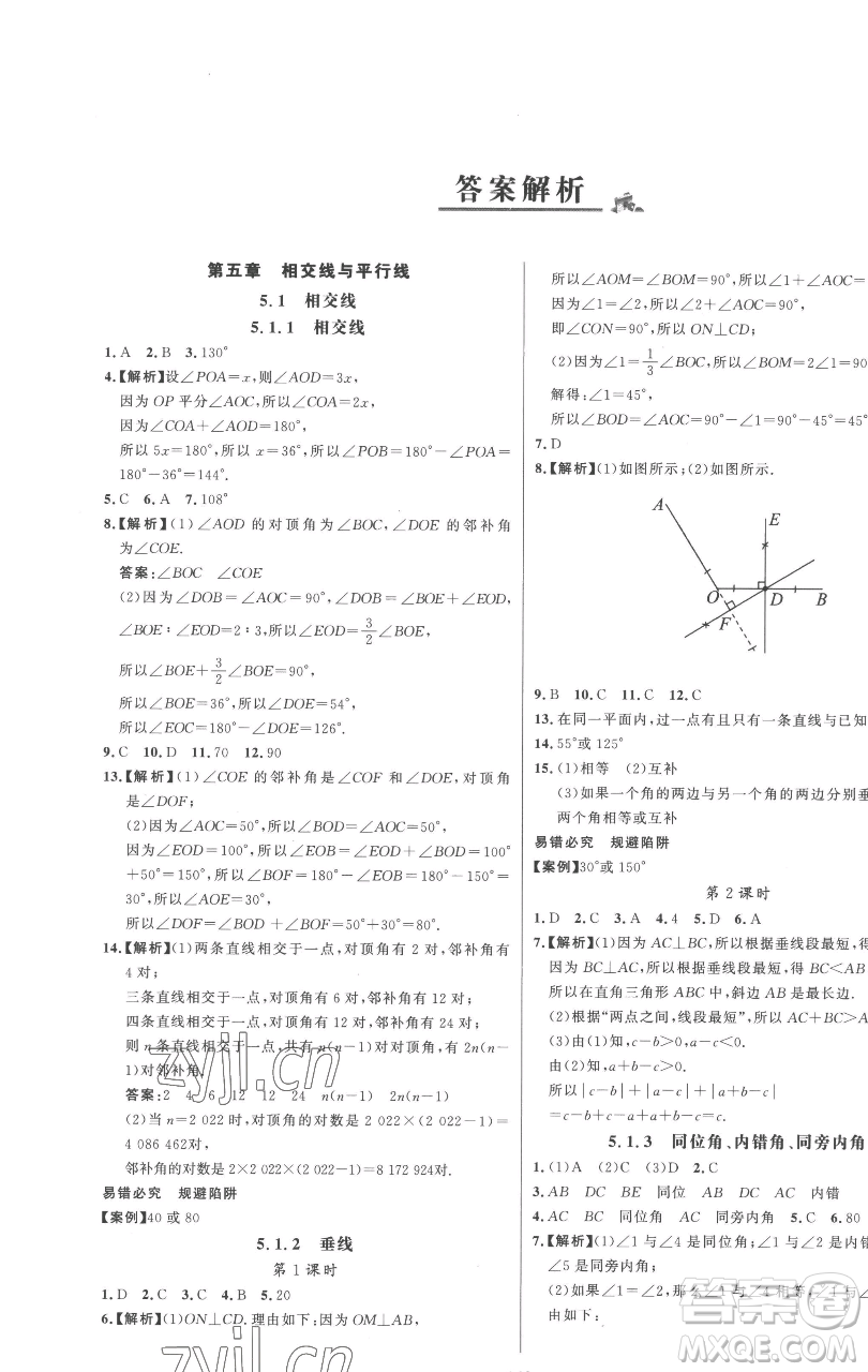 延邊大學(xué)出版社2023世紀(jì)金榜百練百勝七年級下冊數(shù)學(xué)人教版參考答案