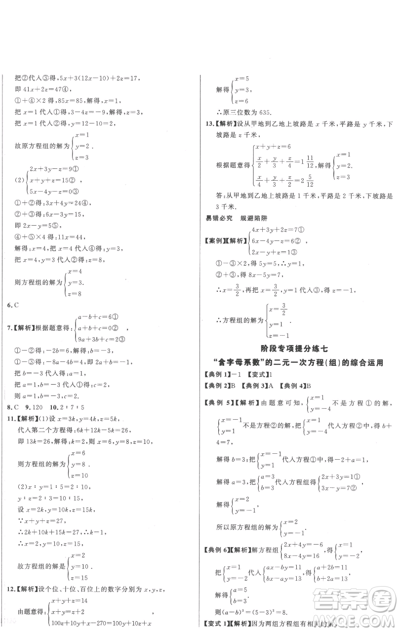 延邊大學(xué)出版社2023世紀(jì)金榜百練百勝七年級下冊數(shù)學(xué)人教版參考答案