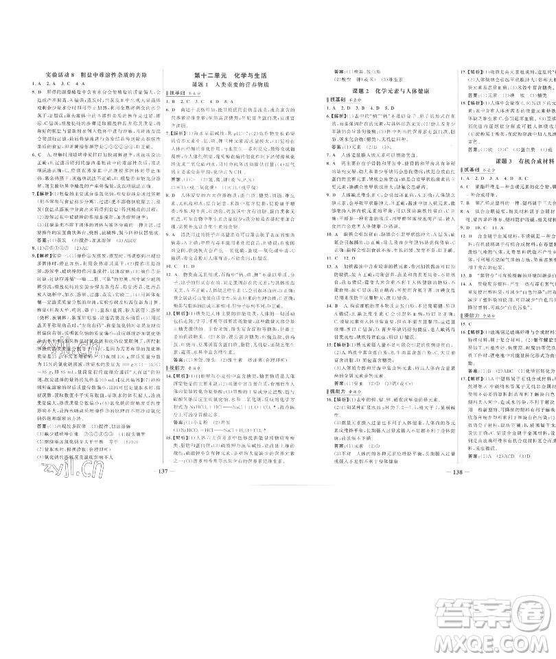 延邊大學(xué)出版社2023世紀(jì)金榜百練百勝九年級(jí)下冊(cè)化學(xué)人教版參考答案