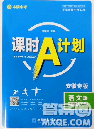 安徽師范大學(xué)出版社2023課時(shí)A計(jì)劃七年級(jí)語(yǔ)文下冊(cè)人教版安徽專(zhuān)版答案