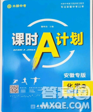 安徽師范大學(xué)出版社2023課時A計劃九年級化學(xué)下冊人教版安徽專版答案