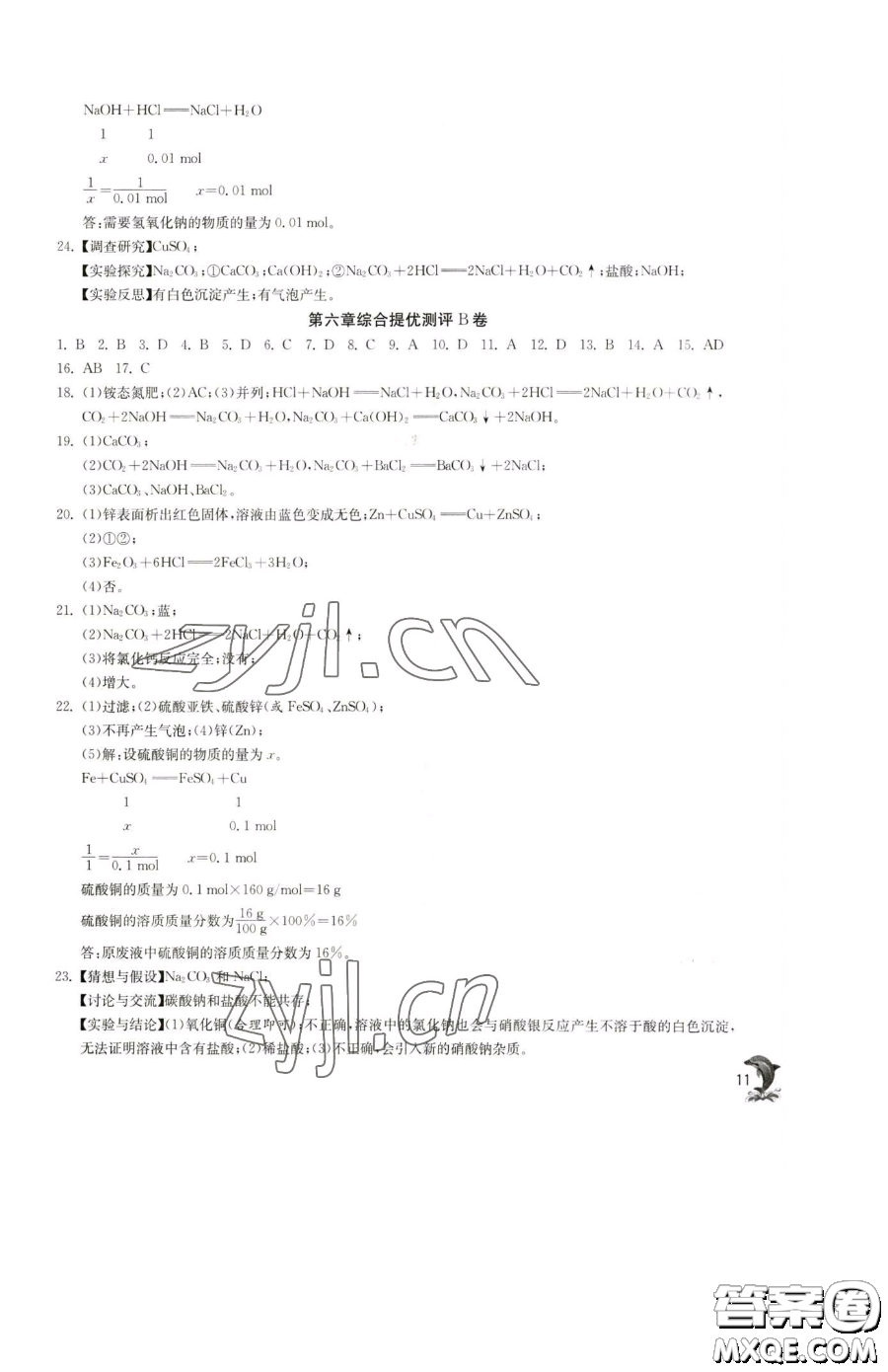 江蘇人民出版社2023實驗班提優(yōu)訓練九年級下冊化學滬教版上海專版參考答案