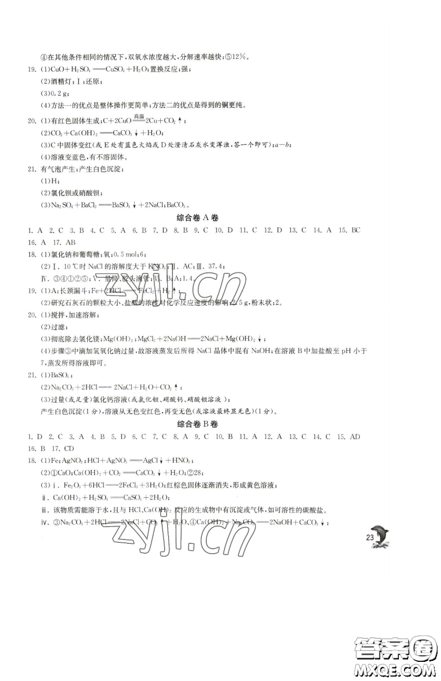 江蘇人民出版社2023實驗班提優(yōu)訓練九年級下冊化學滬教版上海專版參考答案