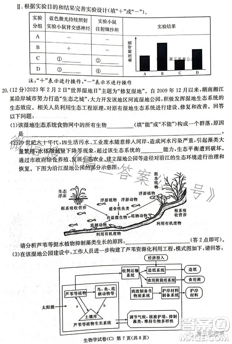 2023屆湖南新高考教學(xué)教研聯(lián)盟高三第一次聯(lián)考生物學(xué)試卷答案