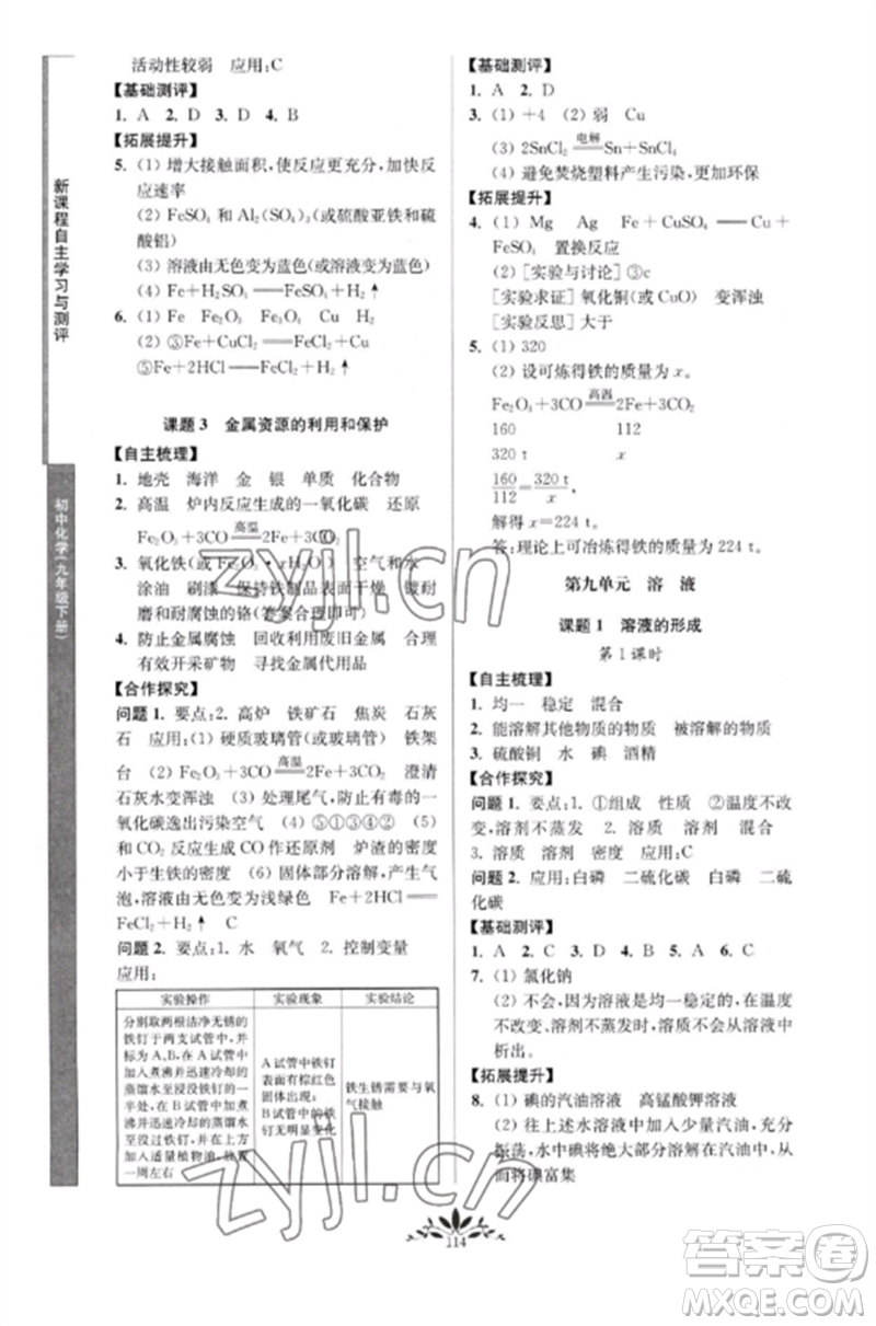 南京師范大學出版社2023新課程自主學習與測評九年級化學下冊人教版參考答案