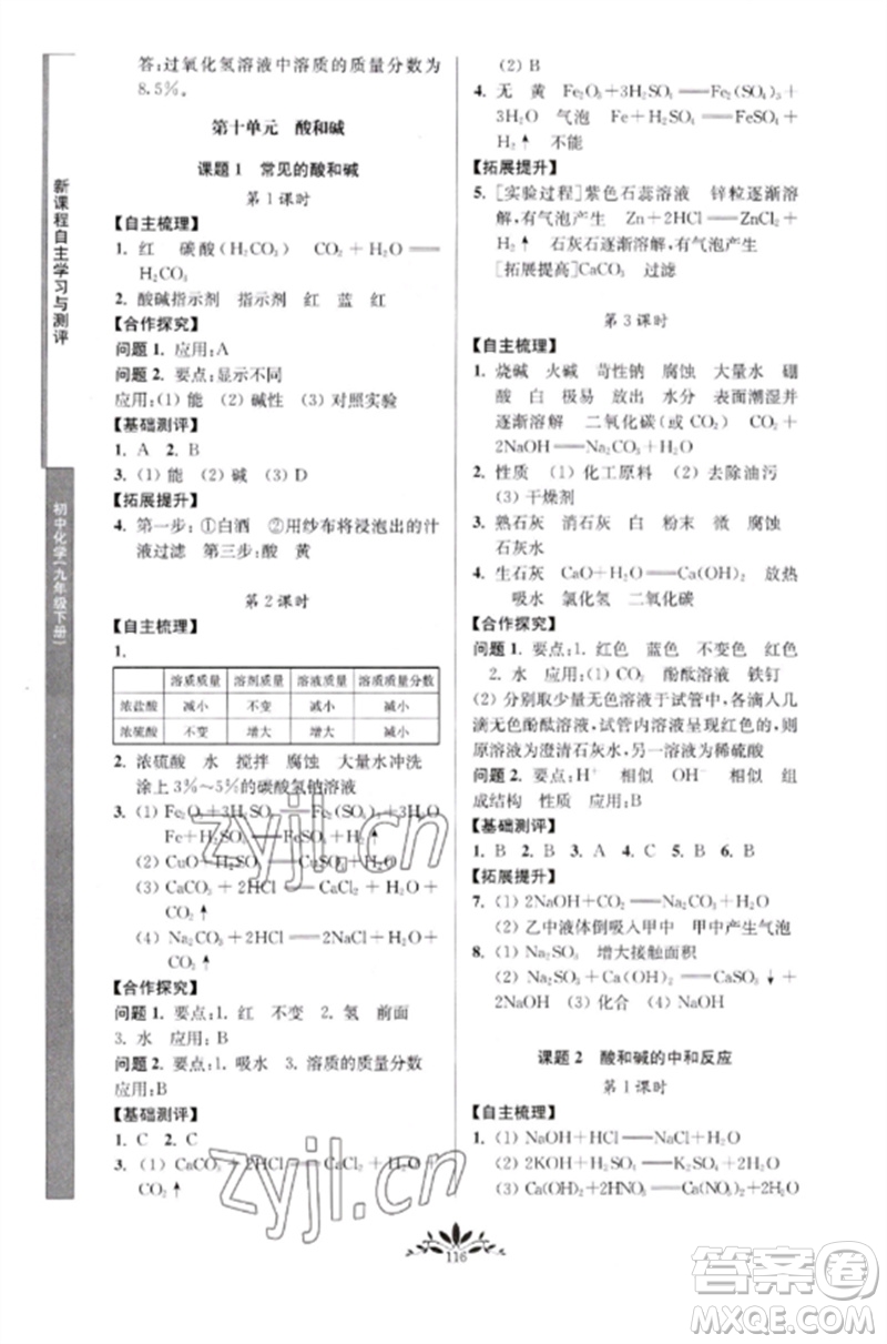 南京師范大學出版社2023新課程自主學習與測評九年級化學下冊人教版參考答案