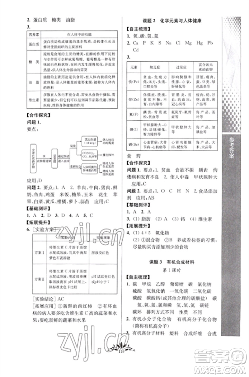 南京師范大學出版社2023新課程自主學習與測評九年級化學下冊人教版參考答案