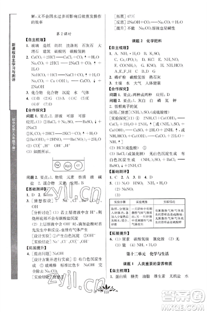 南京師范大學出版社2023新課程自主學習與測評九年級化學下冊人教版參考答案