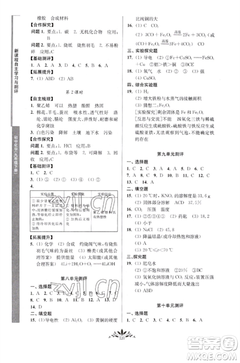 南京師范大學出版社2023新課程自主學習與測評九年級化學下冊人教版參考答案