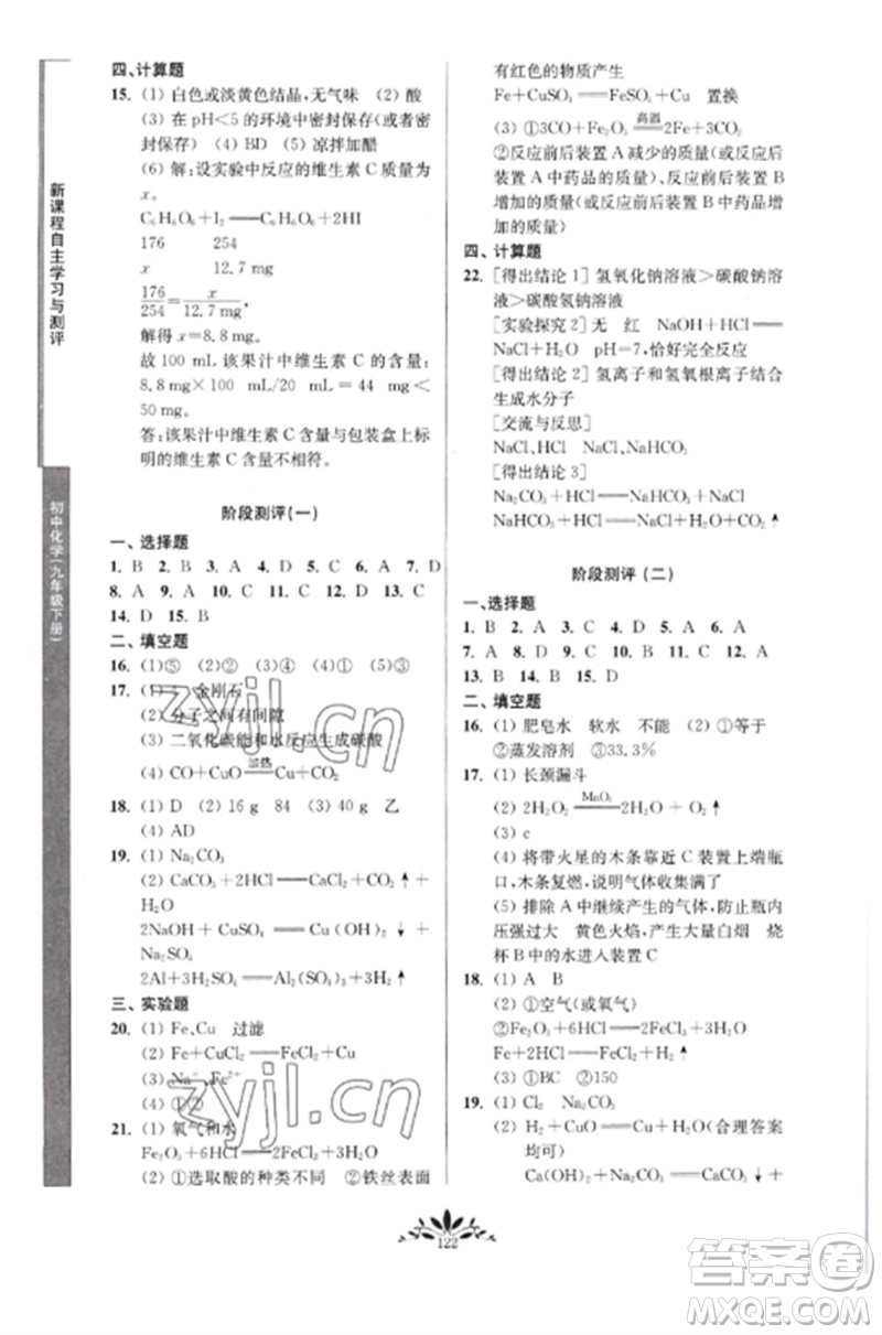 南京師范大學出版社2023新課程自主學習與測評九年級化學下冊人教版參考答案