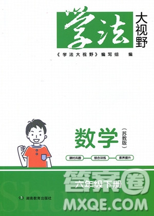 湖南教育出版社2023學(xué)法大視野六年級(jí)下冊(cè)數(shù)學(xué)蘇教版參考答案