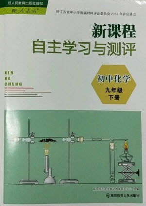 南京師范大學出版社2023新課程自主學習與測評九年級化學下冊人教版參考答案