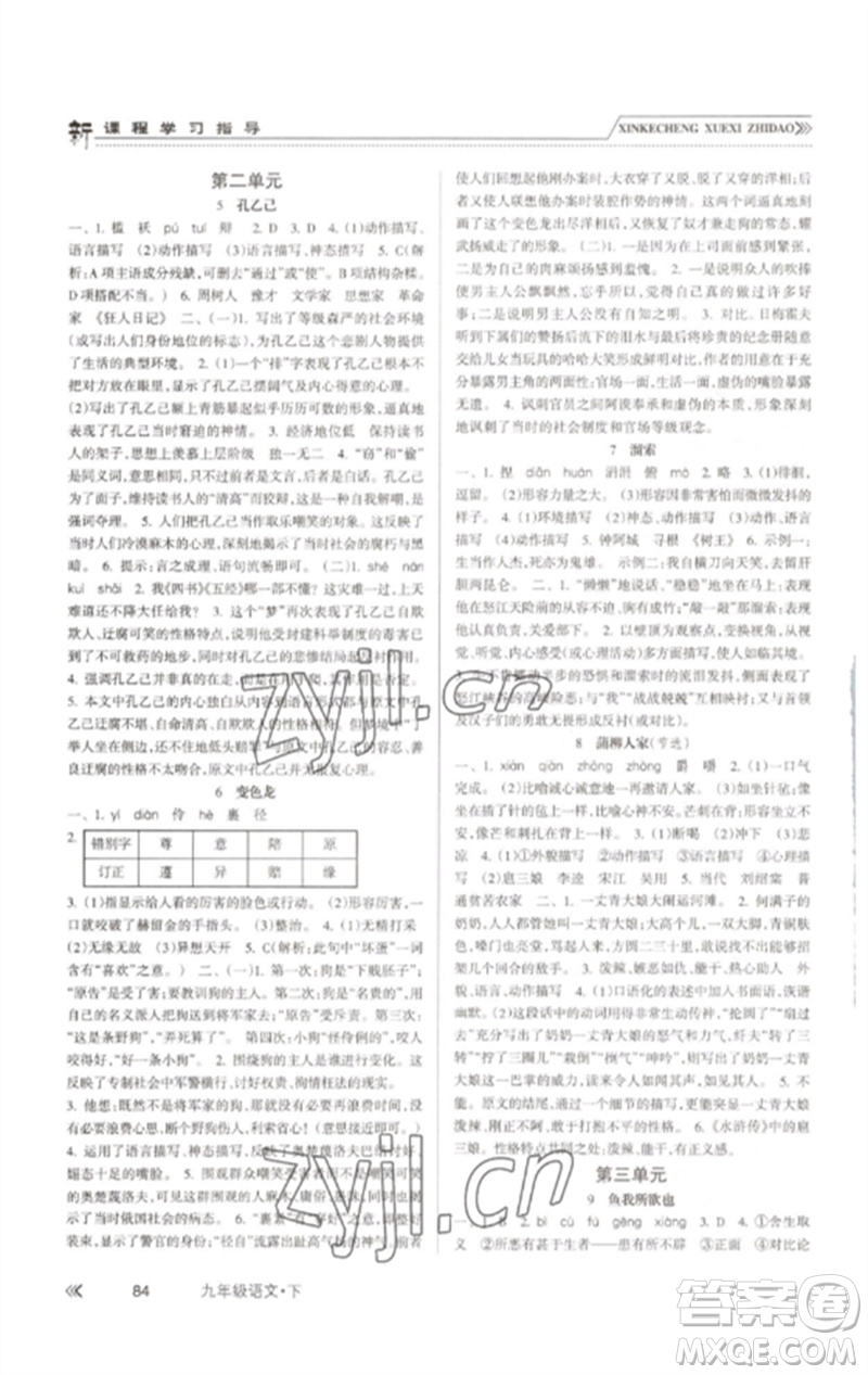 南方出版社2023新課程學習指導九年級語文下冊人教版參考答案