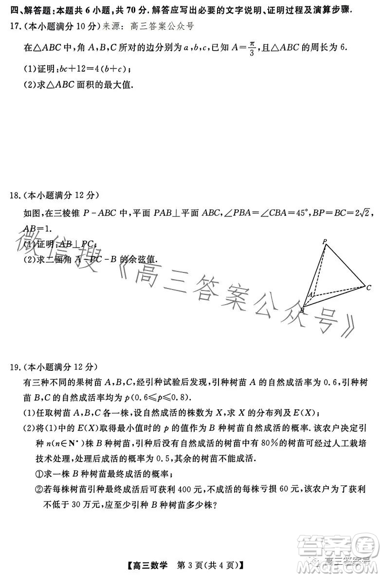 2023金科大聯(lián)考高三3月質(zhì)量檢測數(shù)學試卷答案