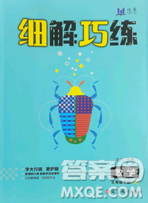 延邊大學(xué)出版社2023細(xì)解巧練六年級下冊數(shù)學(xué)人教版參考答案