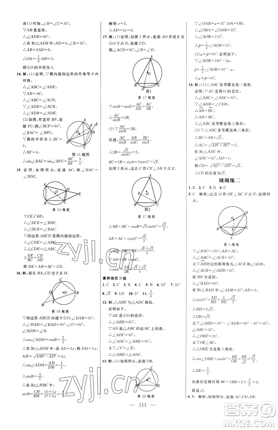 延邊大學(xué)出版社2023細(xì)解巧練九年級(jí)下冊(cè)數(shù)學(xué)魯教版五四制參考答案