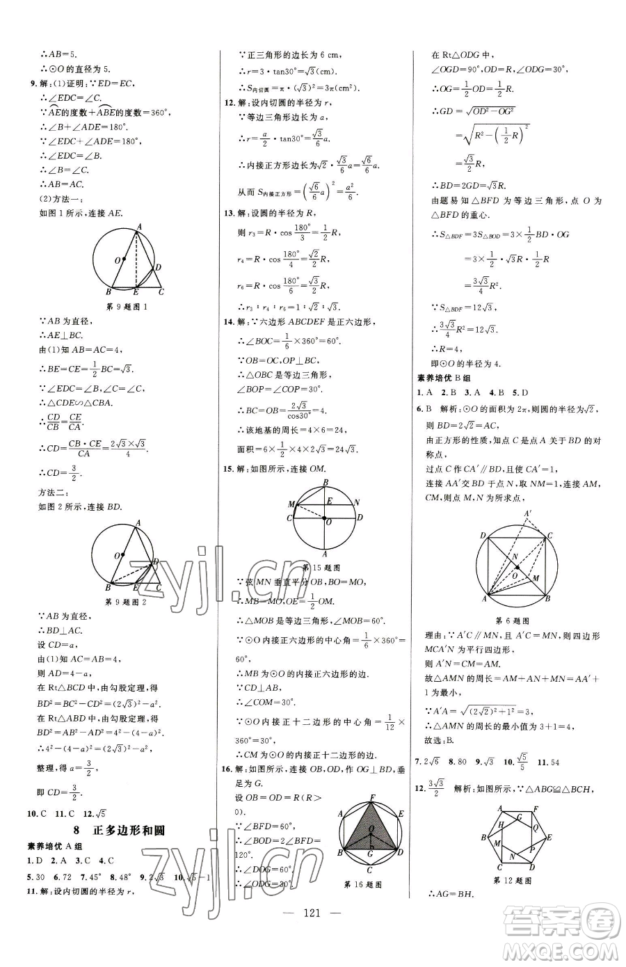 延邊大學(xué)出版社2023細(xì)解巧練九年級(jí)下冊(cè)數(shù)學(xué)魯教版五四制參考答案