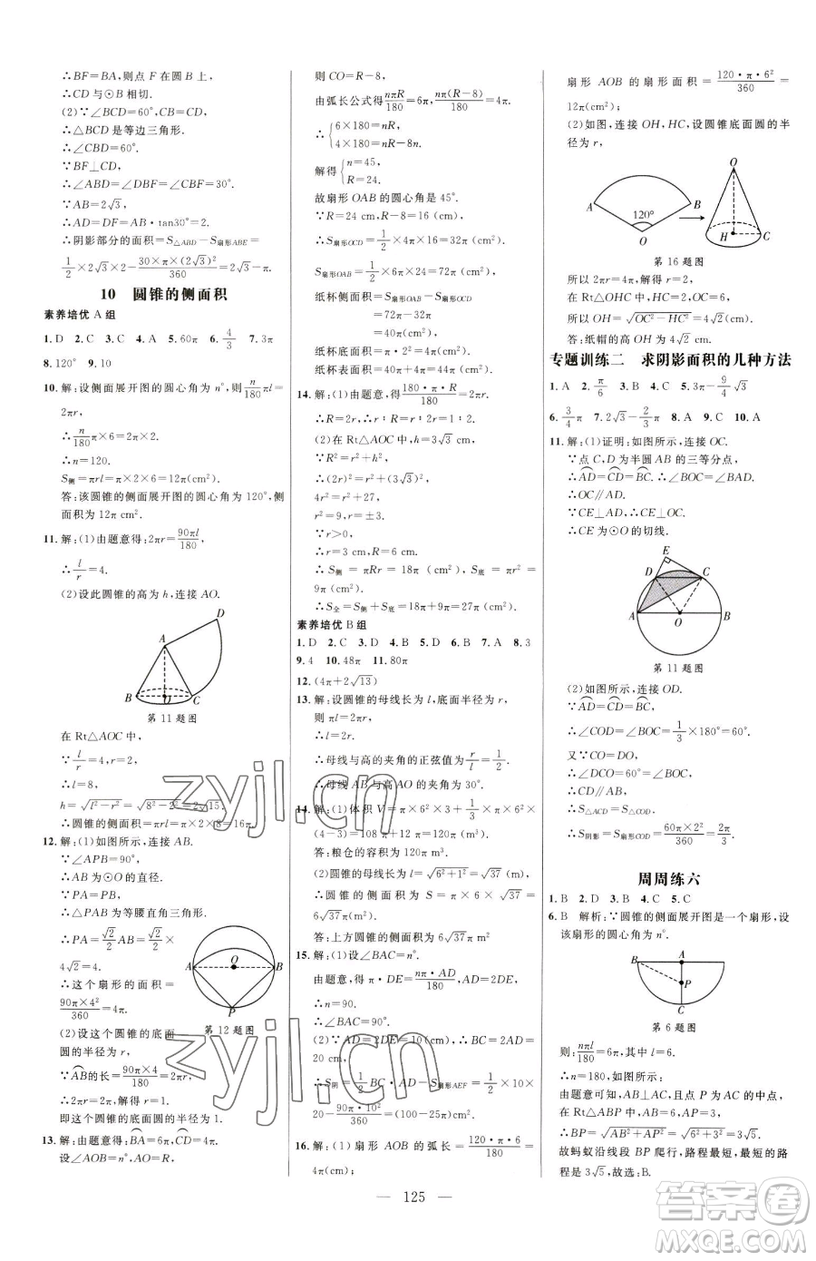 延邊大學(xué)出版社2023細(xì)解巧練九年級(jí)下冊(cè)數(shù)學(xué)魯教版五四制參考答案