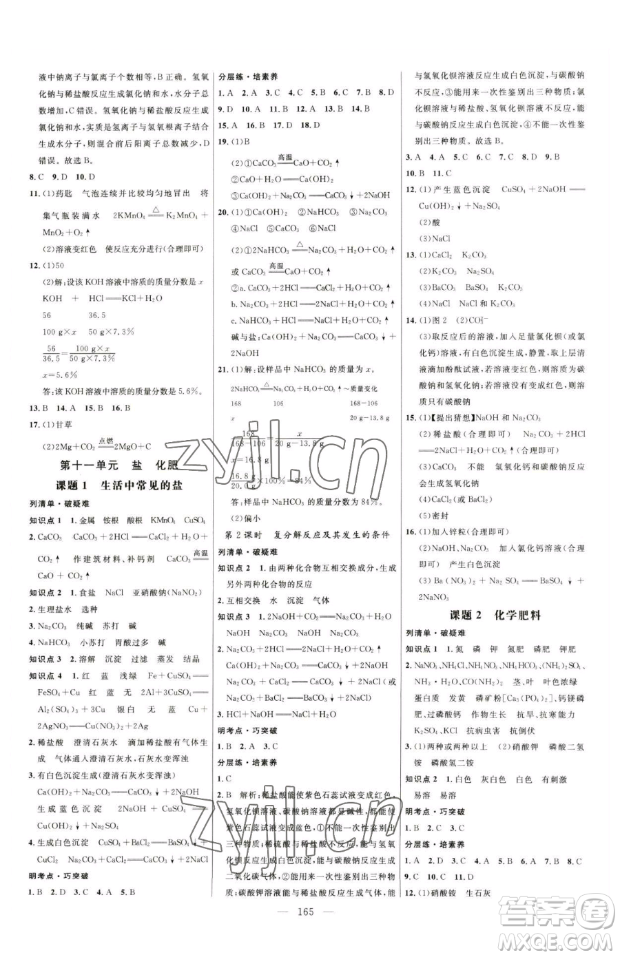 延邊大學(xué)出版社2023細(xì)解巧練九年級下冊化學(xué)人教版參考答案