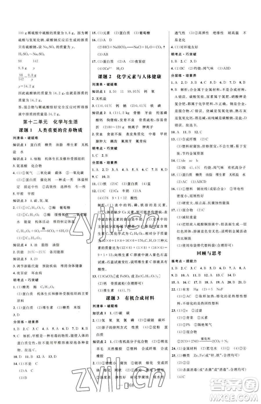 延邊大學(xué)出版社2023細(xì)解巧練九年級下冊化學(xué)人教版參考答案