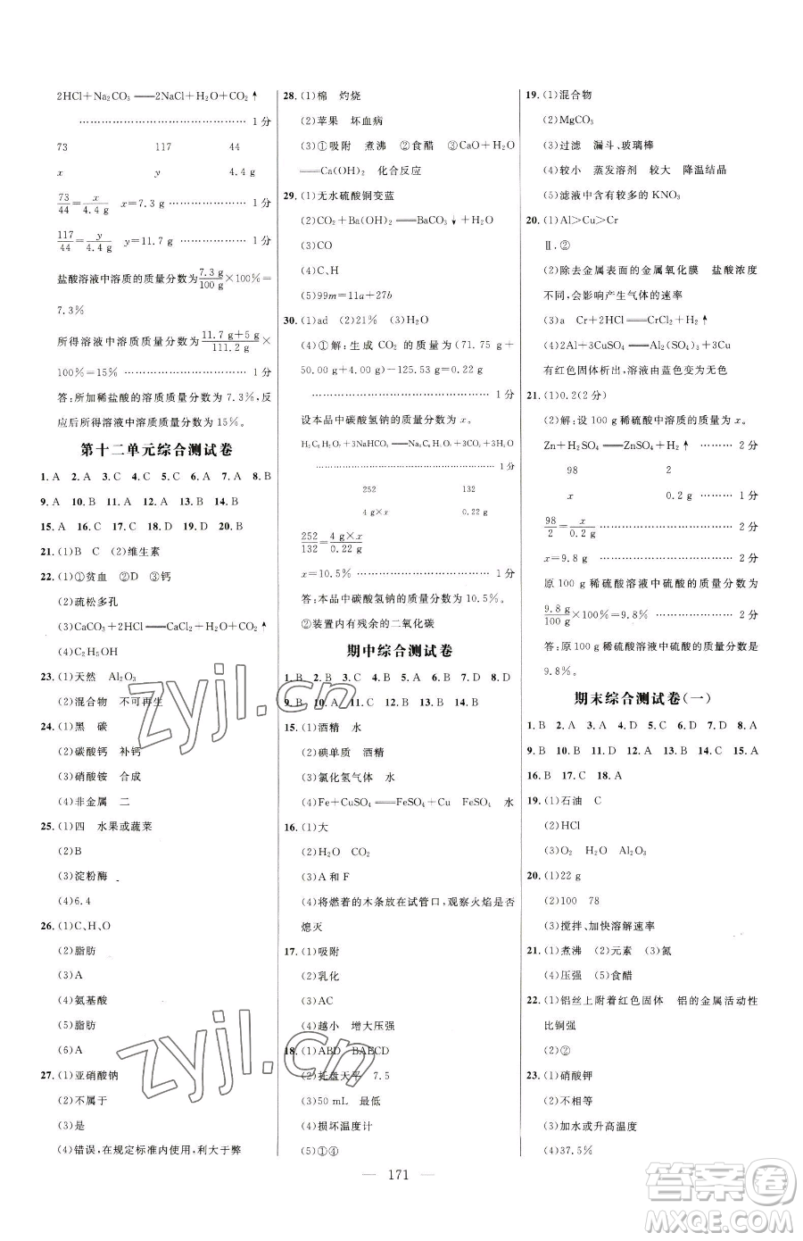 延邊大學(xué)出版社2023細(xì)解巧練九年級下冊化學(xué)人教版參考答案