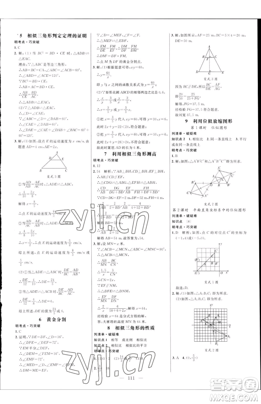 延邊大學出版社2023細解巧練八年級下冊數(shù)學魯教版五四制參考答案