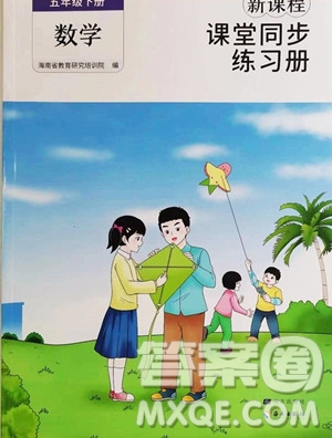 海南出版社2023新課程課堂同步練習(xí)冊五年級下冊數(shù)學(xué)人教版參考答案