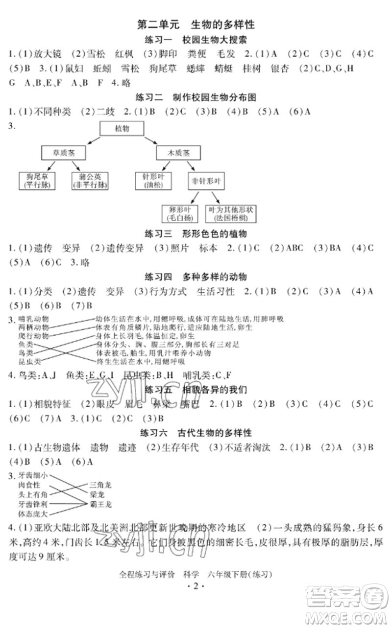 浙江人民出版社2023全程練習(xí)與評價(jià)六年級科學(xué)下冊教科版參考答案