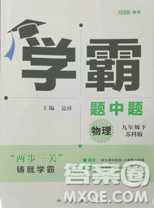 甘肅少年兒童出版社2023經(jīng)綸學(xué)典學(xué)霸題中題九年級(jí)下冊(cè)物理蘇科版參考答案