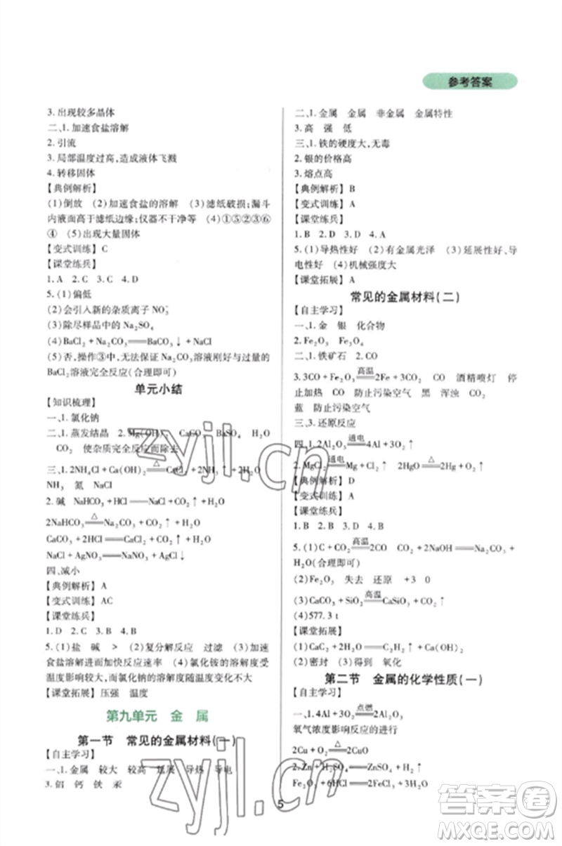 四川教育出版社2023新課程實踐與探究叢書九年級化學(xué)下冊魯教版參考答案