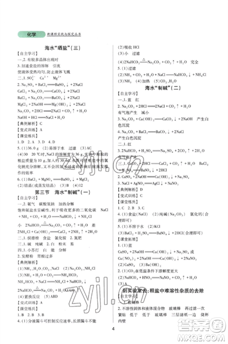 四川教育出版社2023新課程實踐與探究叢書九年級化學(xué)下冊魯教版參考答案