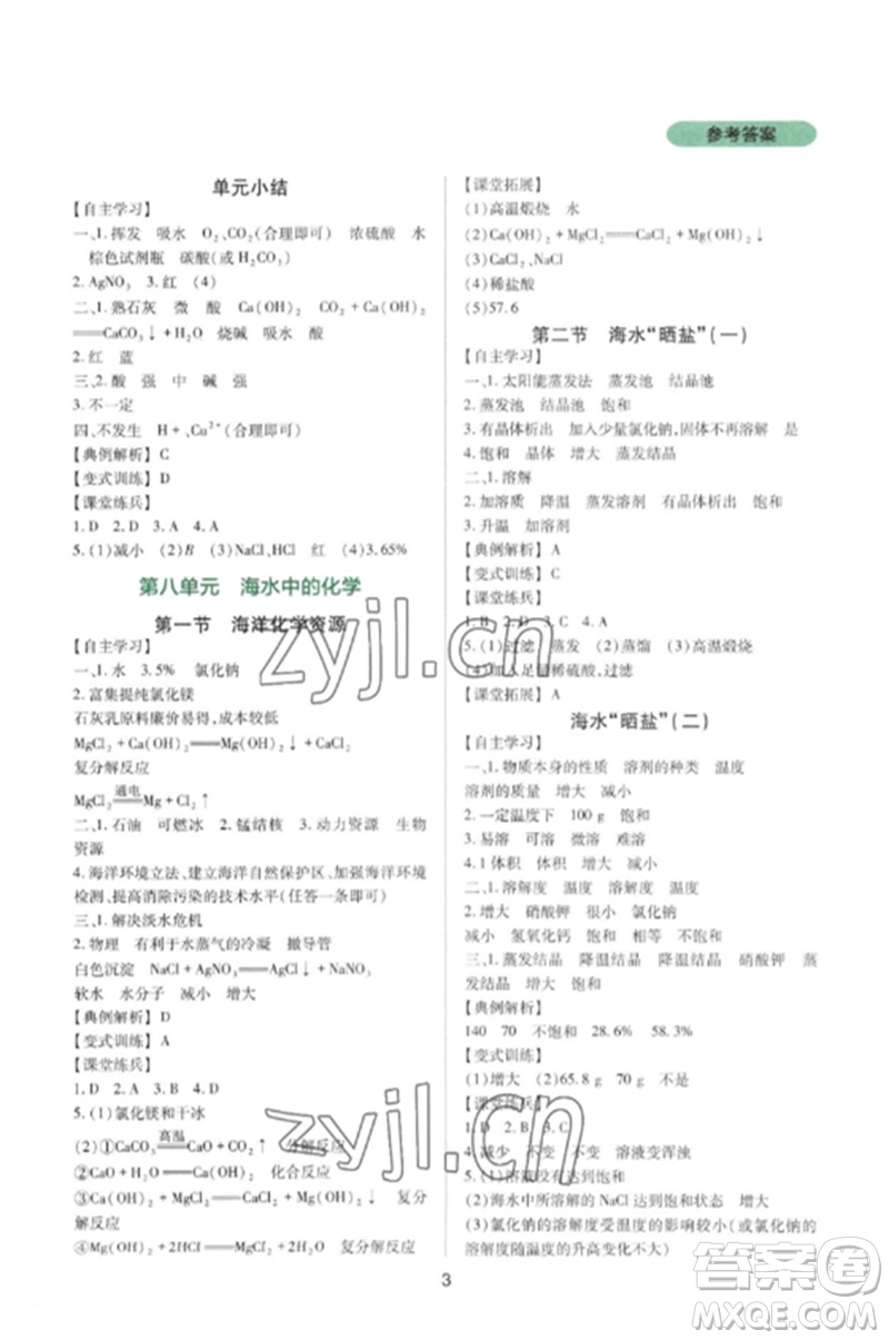 四川教育出版社2023新課程實踐與探究叢書九年級化學(xué)下冊魯教版參考答案