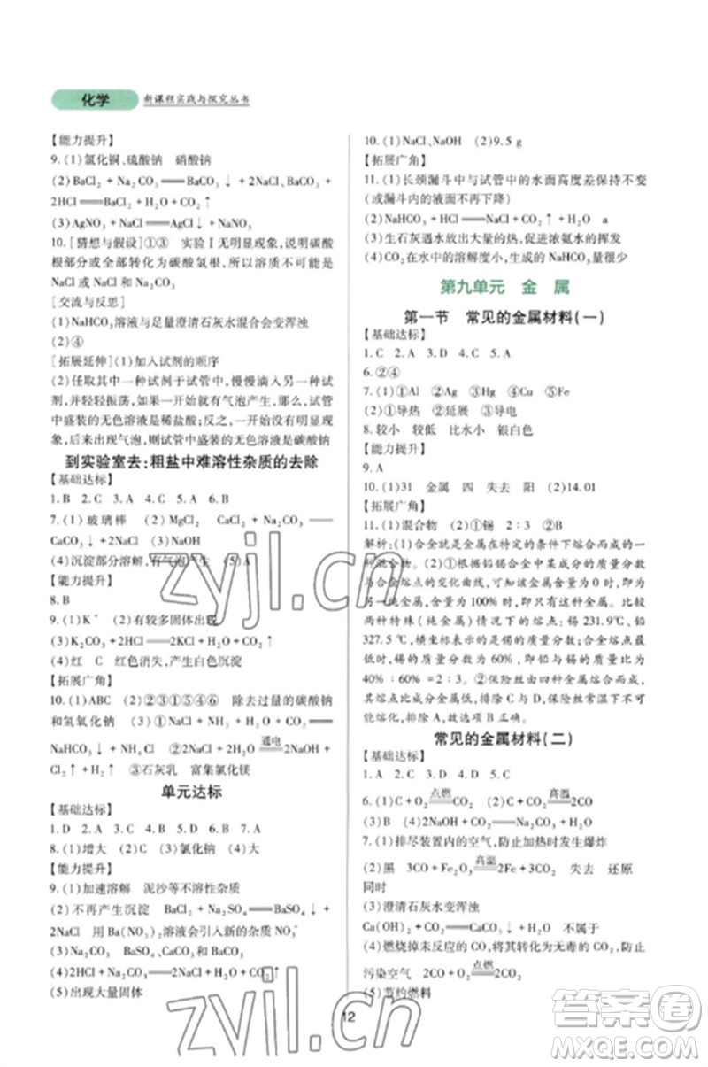 四川教育出版社2023新課程實踐與探究叢書九年級化學(xué)下冊魯教版參考答案