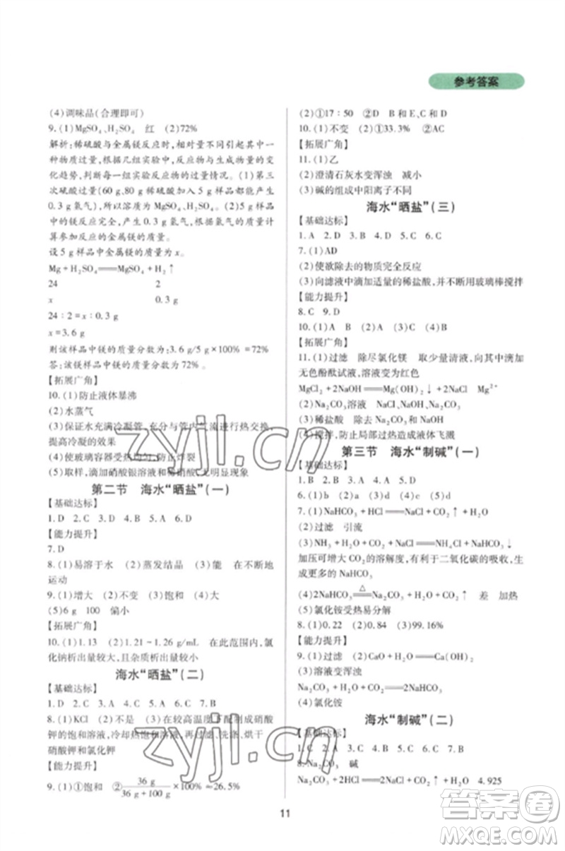 四川教育出版社2023新課程實踐與探究叢書九年級化學(xué)下冊魯教版參考答案