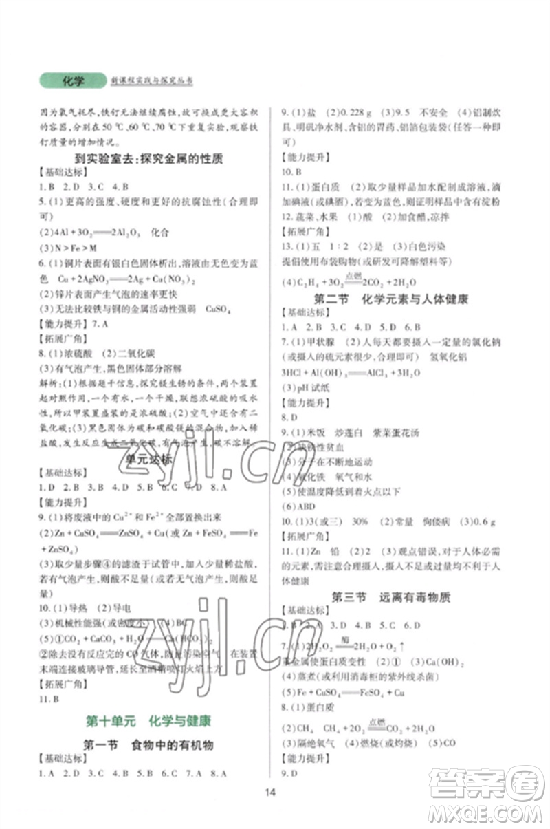 四川教育出版社2023新課程實踐與探究叢書九年級化學(xué)下冊魯教版參考答案