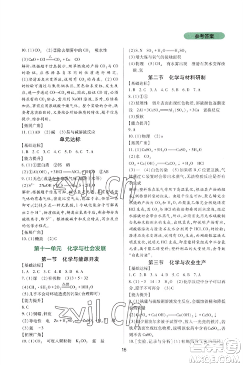 四川教育出版社2023新課程實踐與探究叢書九年級化學(xué)下冊魯教版參考答案