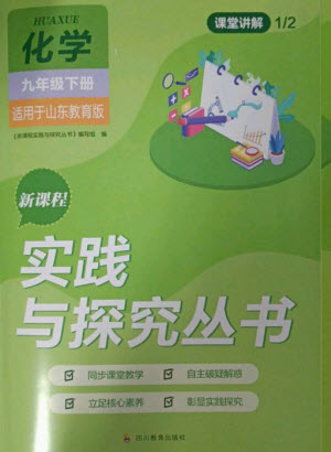 四川教育出版社2023新課程實踐與探究叢書九年級化學(xué)下冊魯教版參考答案