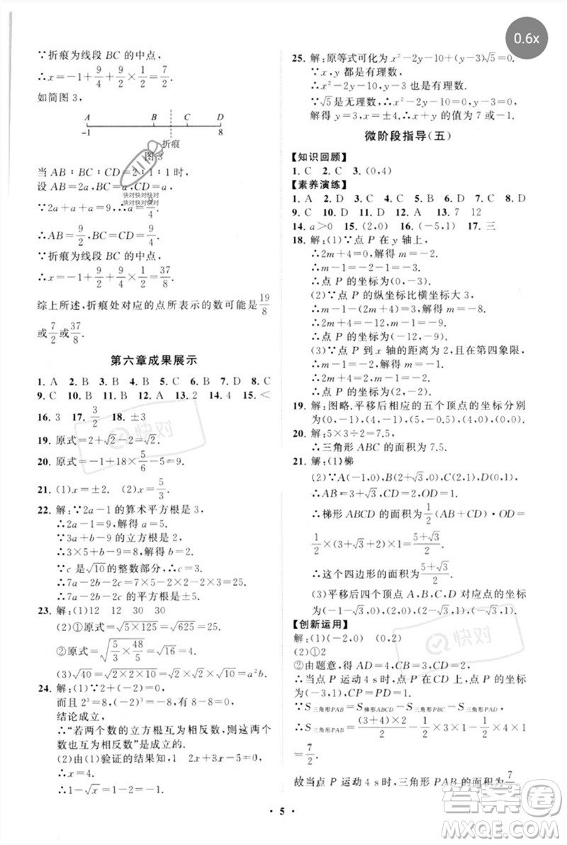 山東教育出版社2023初中同步練習冊分層卷七年級數(shù)學下冊人教版參考答案