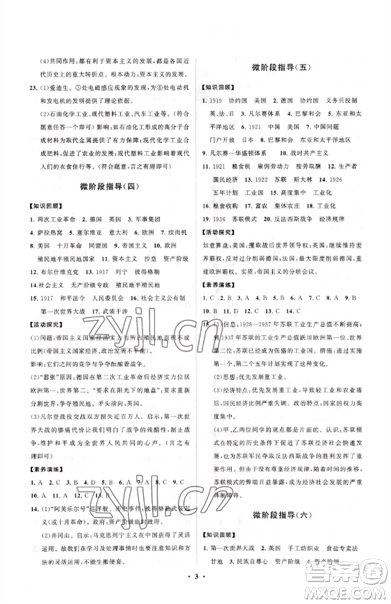 山東教育出版社2023初中同步練習(xí)冊分層卷九年級世界歷史下冊人教版參考答案