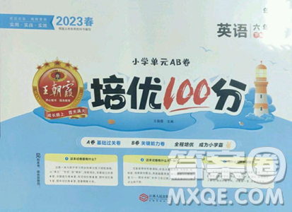 江西人民出版社2023王朝霞培優(yōu)100分六年級(jí)下冊(cè)英語人教PEP版參考答案