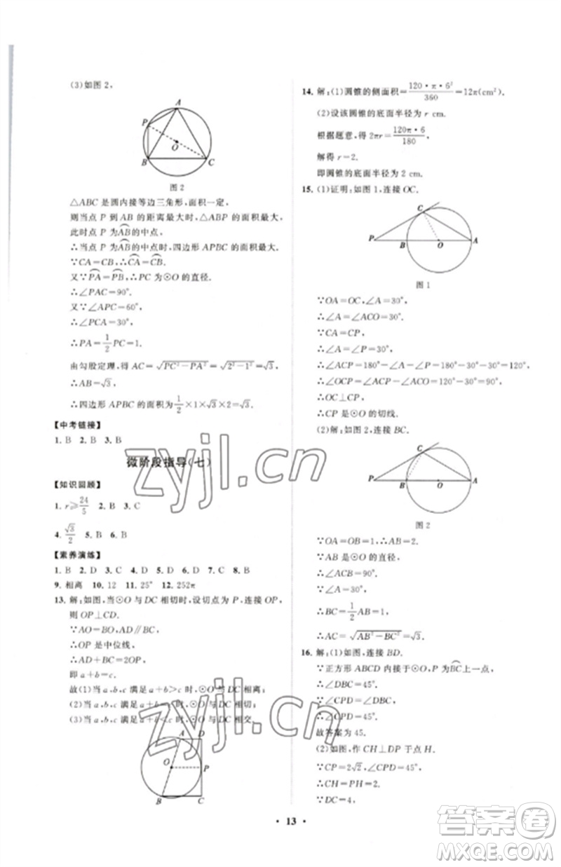 山東教育出版社2023初中同步練習(xí)冊分層卷九年級數(shù)學(xué)下冊北師大版參考答案