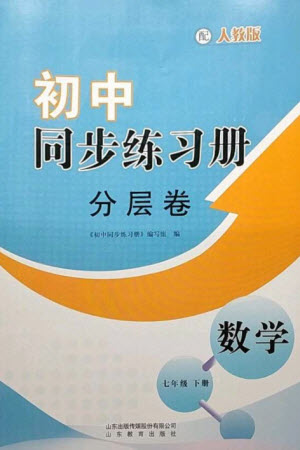 山東教育出版社2023初中同步練習冊分層卷七年級數(shù)學下冊人教版參考答案