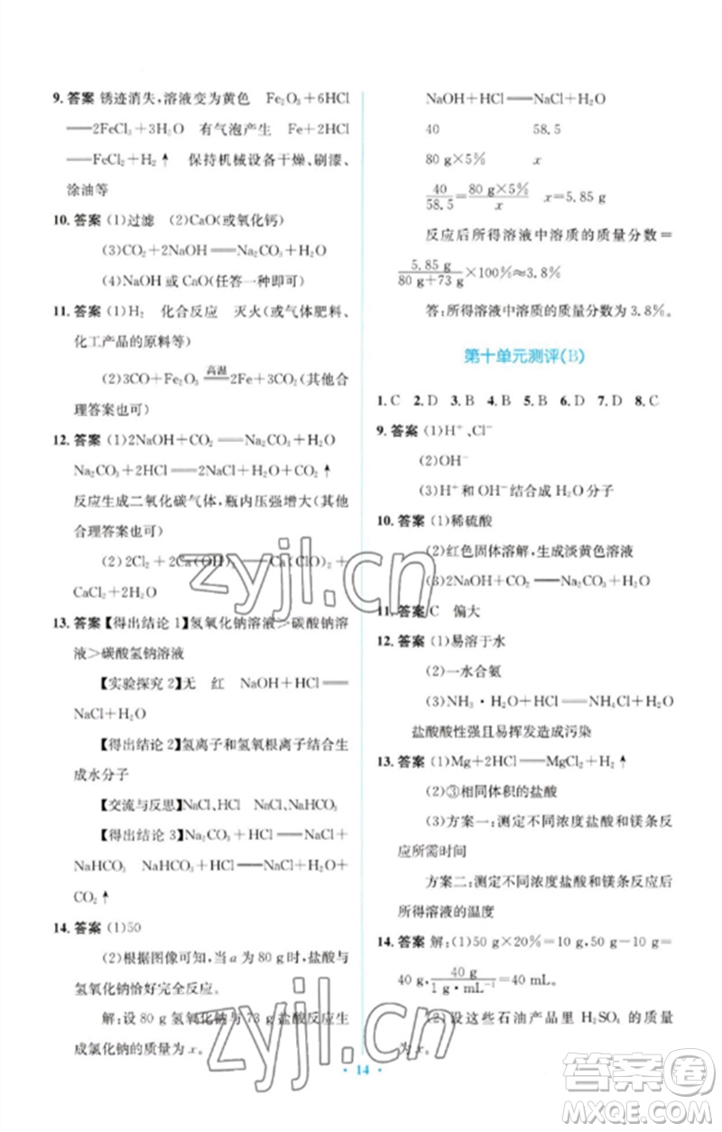 人民教育出版社2023人教金學(xué)典同步解析與測評學(xué)考練九年級(jí)化學(xué)下冊人教版廣東專版參考答案