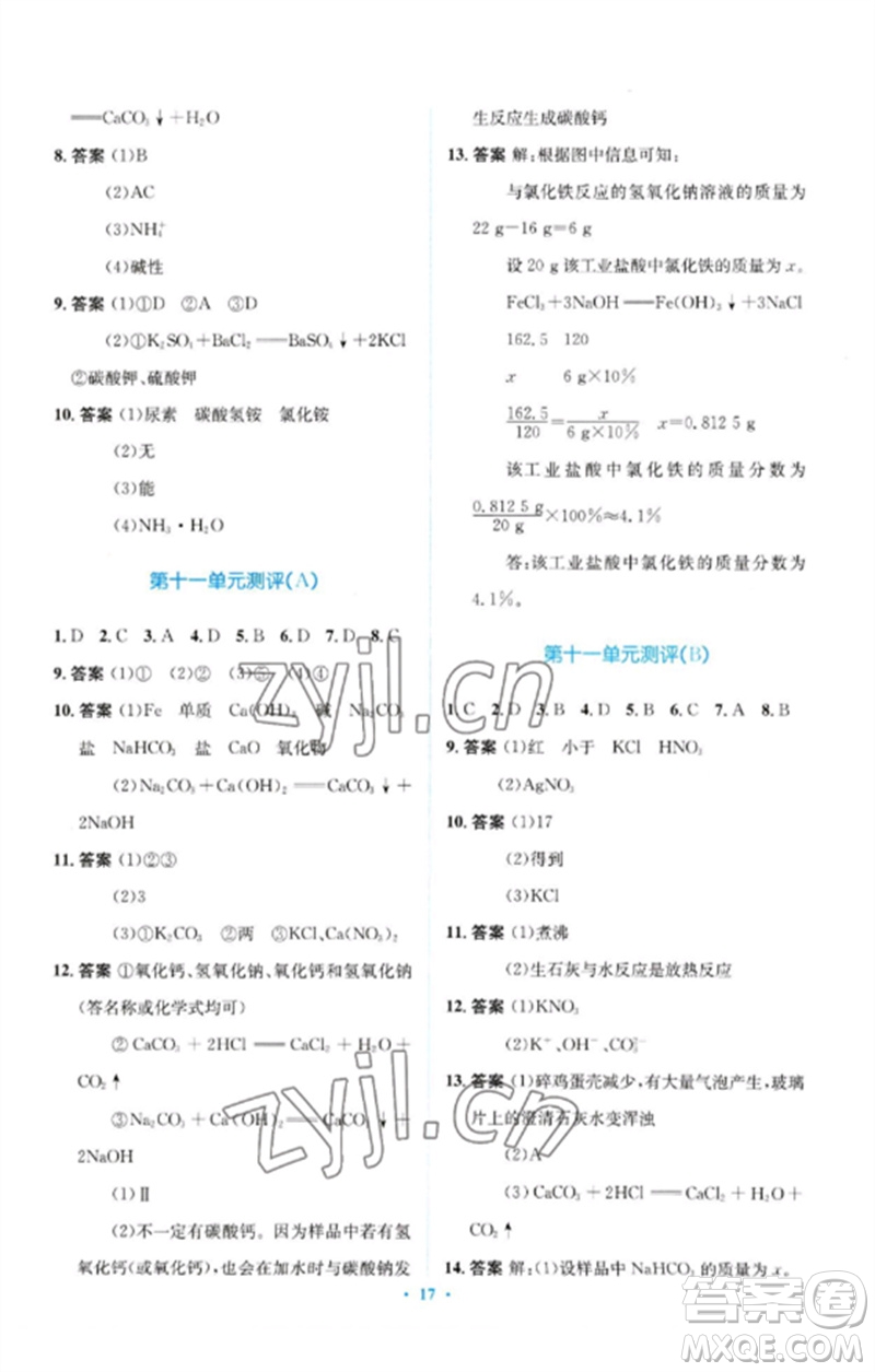 人民教育出版社2023人教金學(xué)典同步解析與測評學(xué)考練九年級(jí)化學(xué)下冊人教版廣東專版參考答案