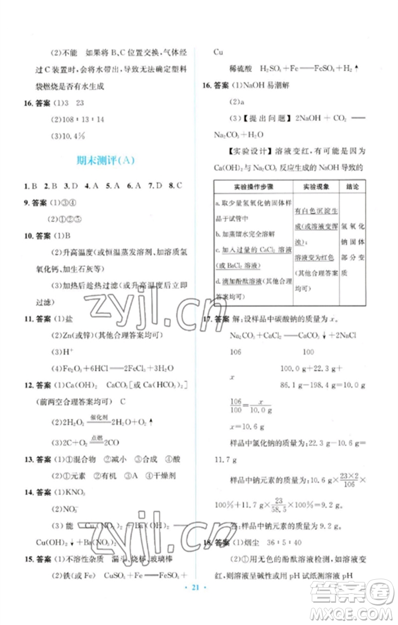 人民教育出版社2023人教金學(xué)典同步解析與測評學(xué)考練九年級(jí)化學(xué)下冊人教版廣東專版參考答案