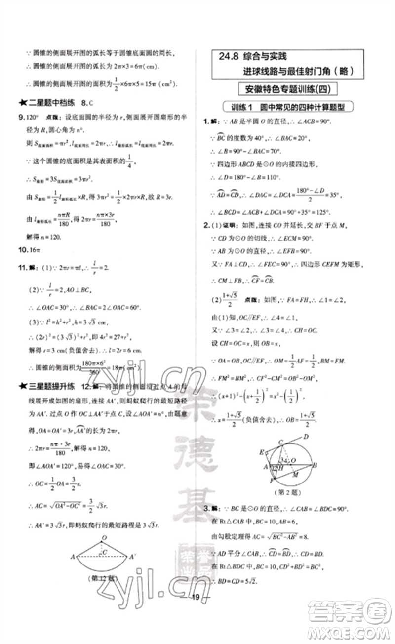 山西教育出版社2023點撥訓(xùn)練九年級數(shù)學(xué)下冊滬科版安徽專版參考答案