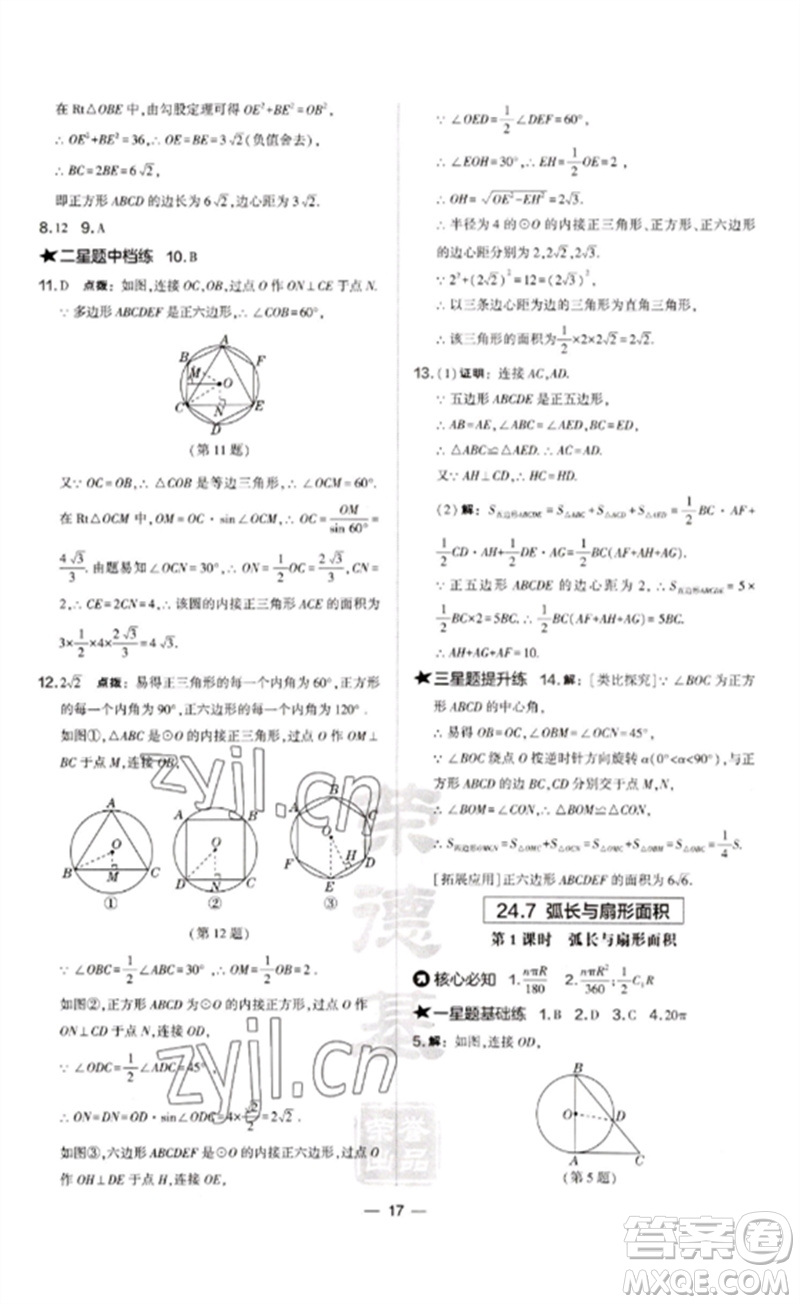 山西教育出版社2023點撥訓(xùn)練九年級數(shù)學(xué)下冊滬科版安徽專版參考答案